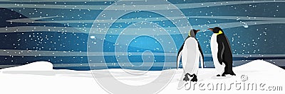 Couple of Realistic imperial penguins on the snow. The glacier and the snow-covered plain. Starlight Night. Vector Illustration